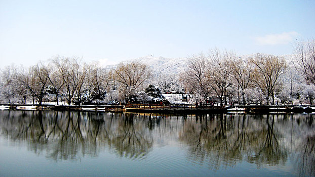 植物园春雪