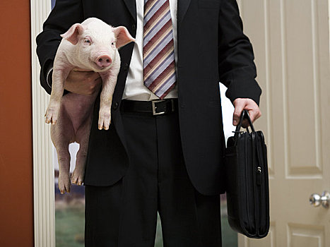 商务人士,拿着,公文包,小猪