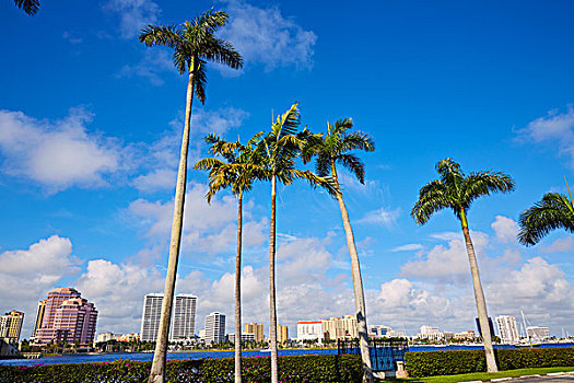棕榈海滩,天际线,佛罗里达,美国