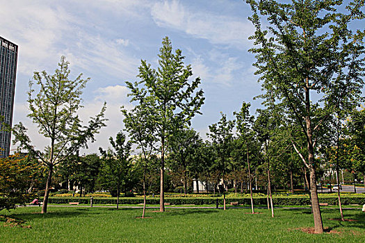 唐城墙遗址公园