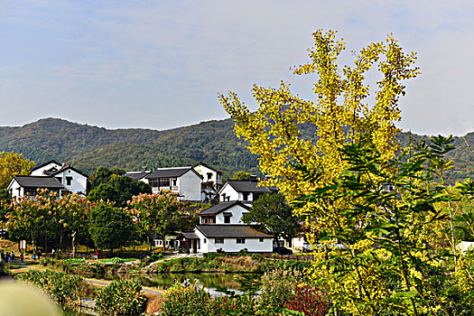 石塘人家