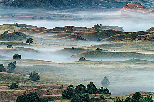 雾,上方,风景,西奥多罗斯福国家公园,北达科他,美国