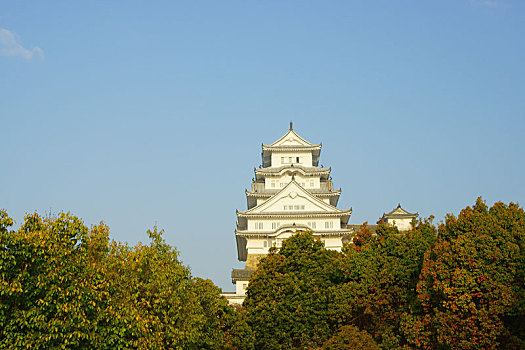 姬路城堡,春天,兵库,日本