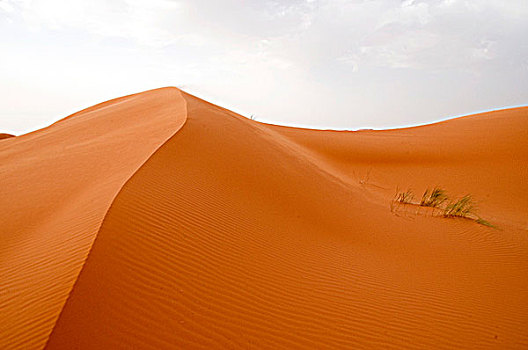 沙丘,却比沙丘,撒哈拉沙漠,摩洛哥