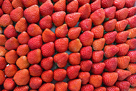 码放整齐的草莓