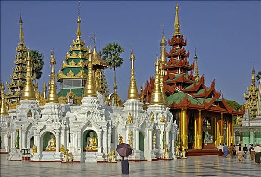 缅甸,大金塔,仰光