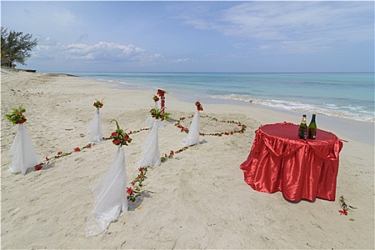 海岸,婚礼,海滩