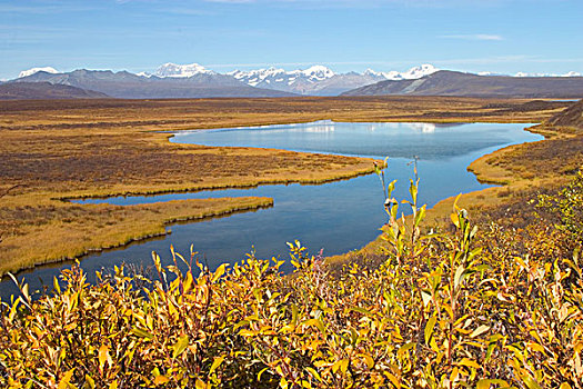 美国,阿拉斯加,阿拉斯加山脉,德纳里峰,公路