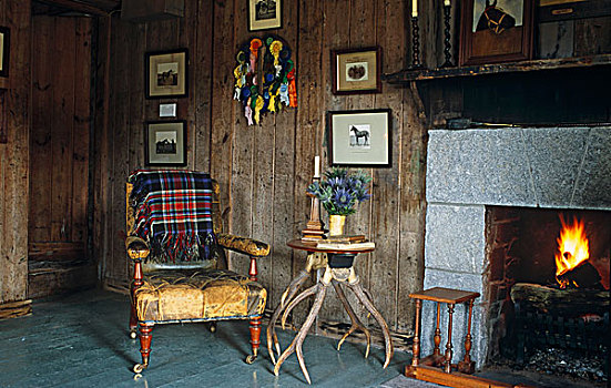 破旧,皮制扶手椅,边桌,鹿角,旁侧,火,旧式,客厅