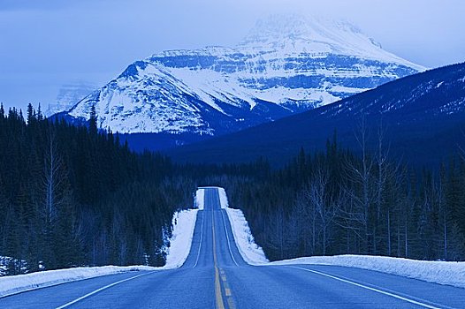 景色,公路,靠近,艾伯塔省,加拿大