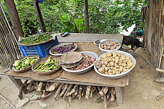 蔬菜,出售,市场货摊,尼泊尔