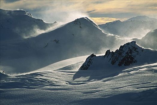 风吹,雪,黎明,冰河,冬天,西区国家公园,南阿尔卑斯山,新西兰