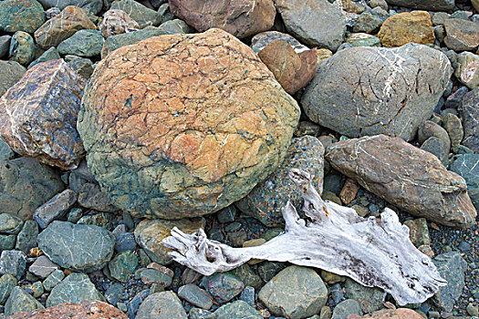 特写,浮木,石头,湖,楚加奇州立公园,阿拉斯加,秋天
