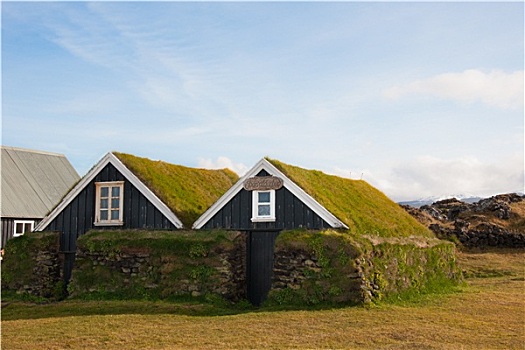 传统,冰岛,房子,草,屋顶,博物馆