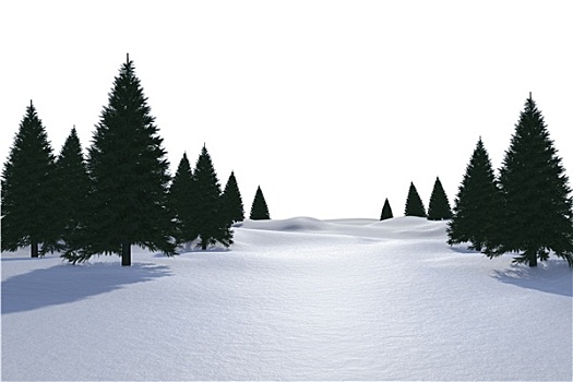白色,雪景,树