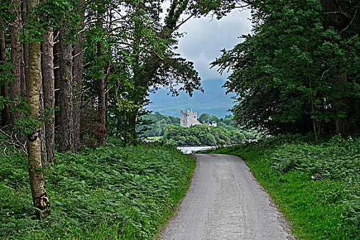 道路,风景,城堡,基拉尼国家公园,凯瑞郡,爱尔兰