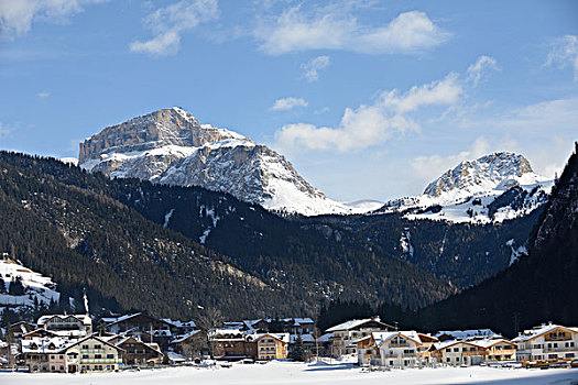 自然,冬季风景,树,初雪