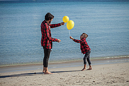 父子,海滩,儿子,拿着,两个,黄色,气球