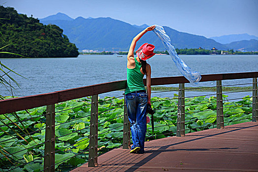 东钱湖,湖畔,荷叶,闲情