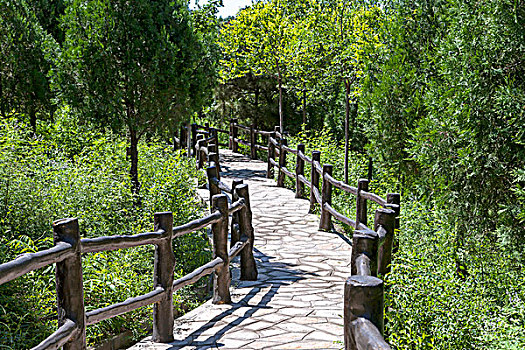 中国古典园林中的小路
