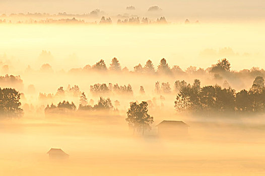 风景,靠近,德国