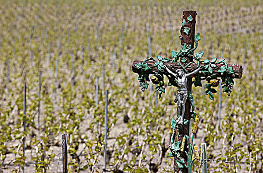 法国,耶稣十字架,葡萄园