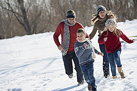 冬季风景,雪,地上,家庭,走,两个,成年人,追逐,两个孩子