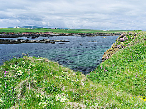 风景,小岛,奥克尼郡,群岛,奥克尼群岛,苏格兰,大幅,尺寸