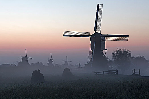 历史,风车,晨雾,黎明,世界遗产,小孩堤防风车村,省,荷兰南部,荷兰