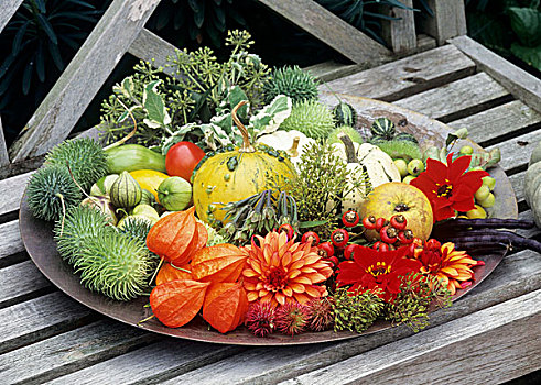 盘子,秋天,水果,花,长椅