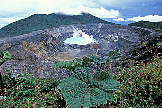 哥斯达黎加,火山,根乃拉草,高处,泻湖,蒸汽,火山口