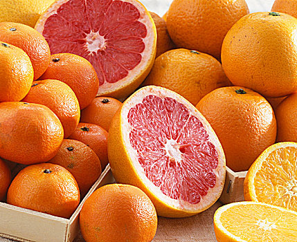 种类,柑橘