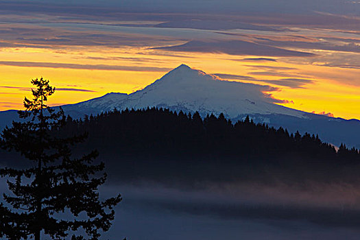 日出,雾,俯视,胡德山,俄勒冈,美国