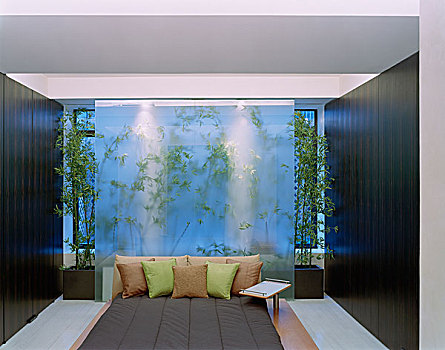 植物,床头板,磨砂玻璃,卧室,住宅,纽约,美国