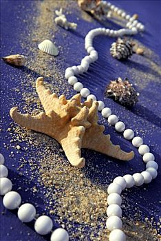 海星,海贝,珍珠,链子,沙子,装饰