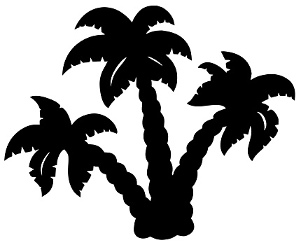 棕榈树,剪影