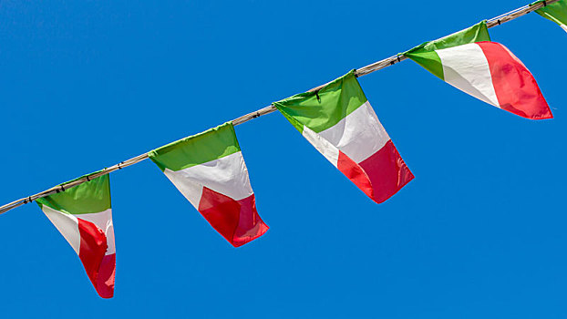 意大利人,旗帜