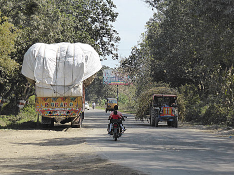 卡车,重,甘蔗,北阿坎德邦,印度,未知
