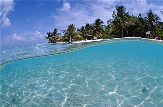 一半,水下,上方,水,岛屿,夏天,乡村,北方,马累环礁,马尔代夫,印度洋