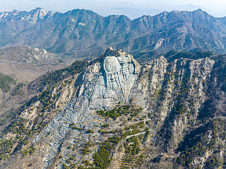 山东蒙山寿星