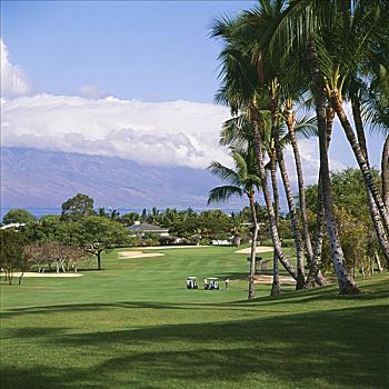 夏威夷,毛伊岛,胜地,高尔夫球场,蓝色,场地,打高尔夫,高尔夫车,远景