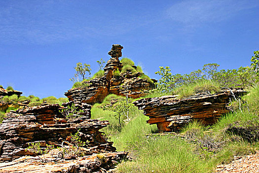 岩石构造,草,隐形谷,国家,公园,金伯利,西北地区,澳大利亚
