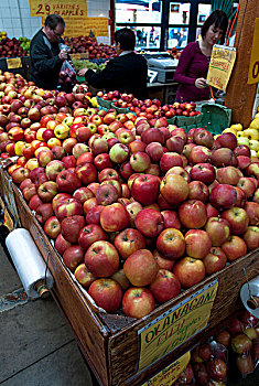 富士苹果,苹果,出售,公用,市场,格兰弗岛,温哥华,不列颠哥伦比亚省,加拿大
