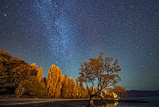 瓦纳卡湖星空