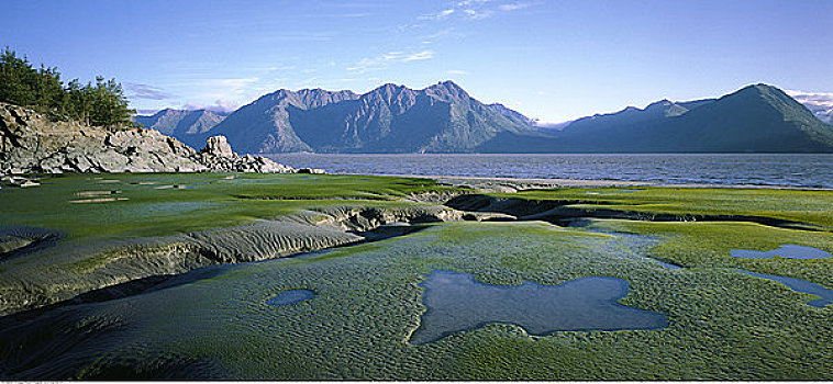 库克海峡,阿拉斯加,美国