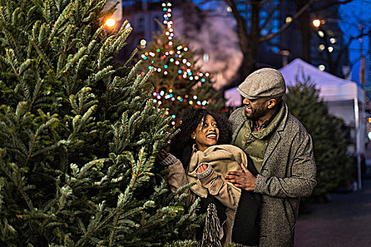 情侣,选择,圣诞树,夜晚,纽约,美国