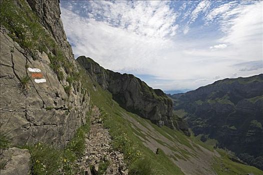 山,道路,标记,阿彭策尔,瑞士