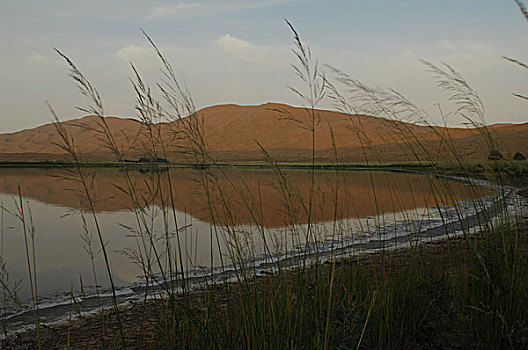 甘肃巴丹吉林沙漠l中的湖泊巴格吉林