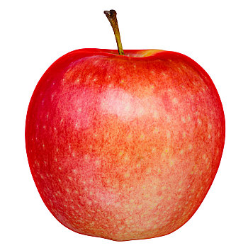 新鲜,红苹果,隔绝,白色背景,裁剪,小路