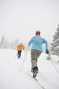 伴侣,越野滑雪,布莱肯里奇,科罗拉多,美国